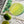 Translation missing: fi.products.product.gallery_thumbnail_alt