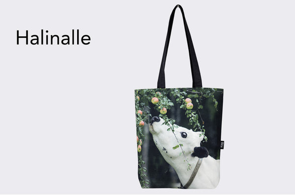 Canvaskassi-CanvasBag