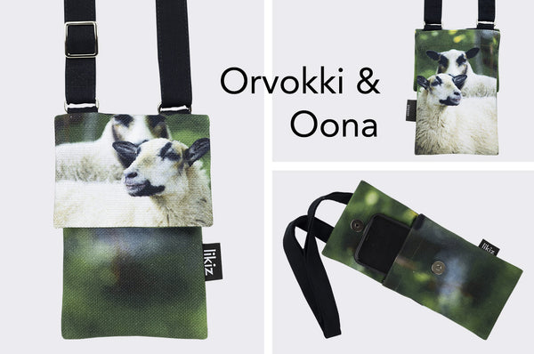 CarryCanvas